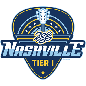 200x85 Nashville Tier 1 300