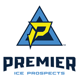 PIP Logo
