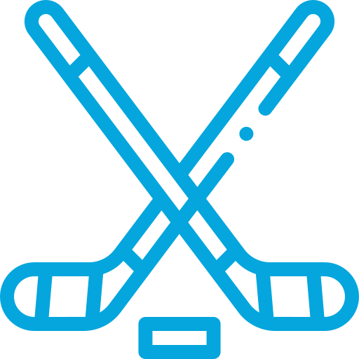 icon hockey sticks